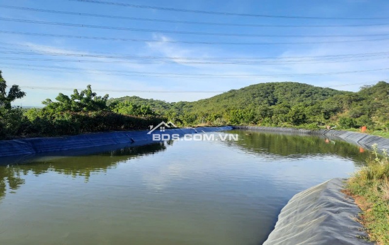 CHÍNH CHỦ CẦN TIỀN HẠ GIÁ BÁN TRANG TRẠI 17.7 Ha TẠI XÃ PHÚ LẠC, TUY PHONG, BÌNH THUẬN (Cũ)